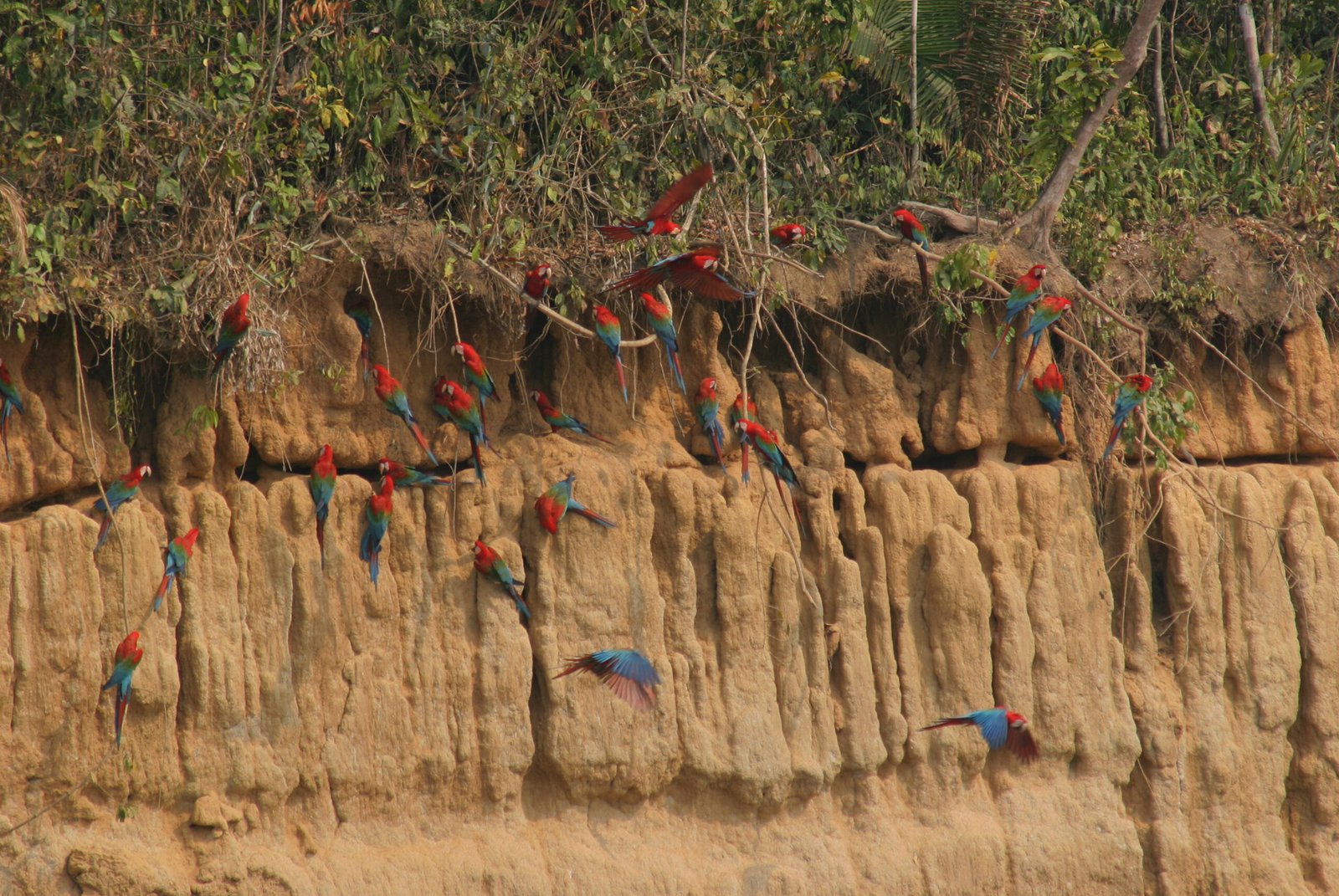 Enchanting Highlights off Perú 20D - view 8