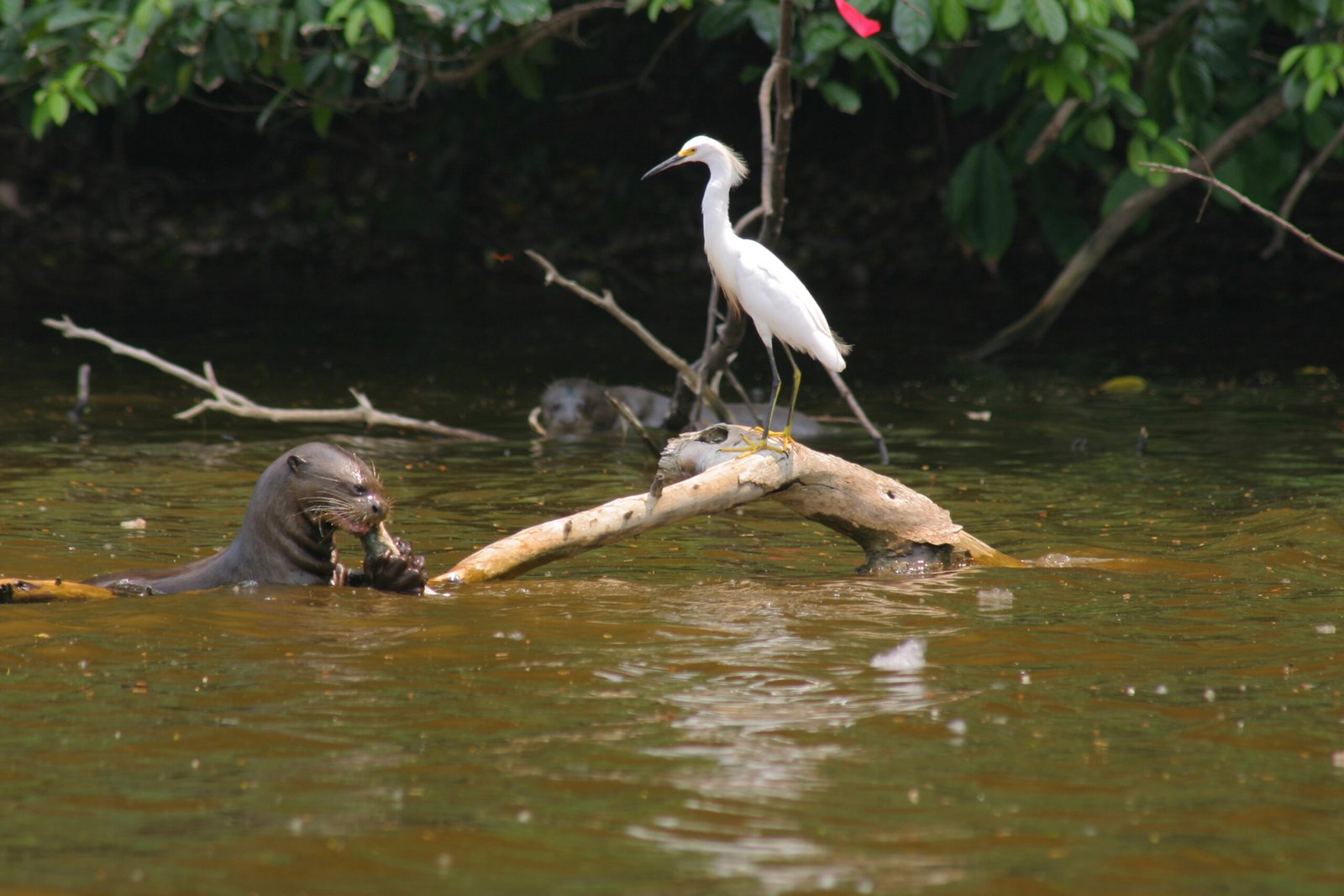 Salkantay Adventure Trek & Amazon 11D - view 1